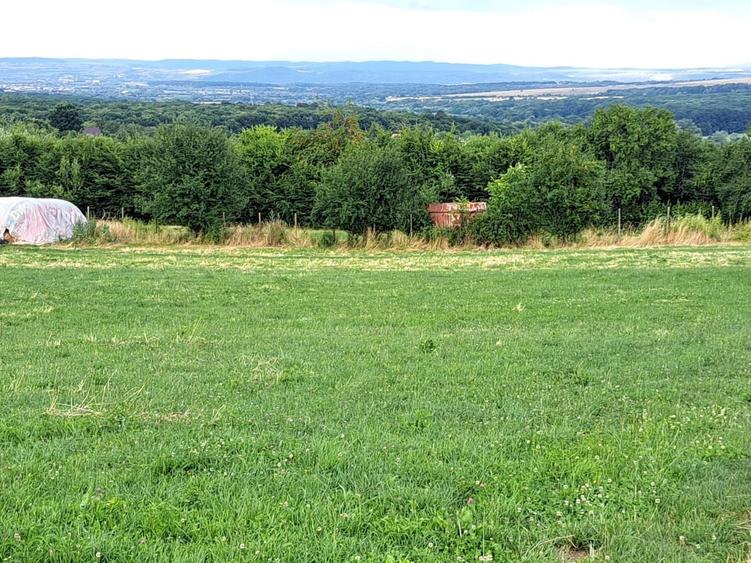 Teren agricol extravilan de 6200 mp, în Rășinari
