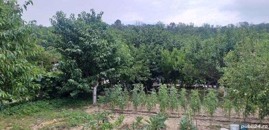 Casă cu 3 camere cu Teren 1700 Mp în Izvoarele