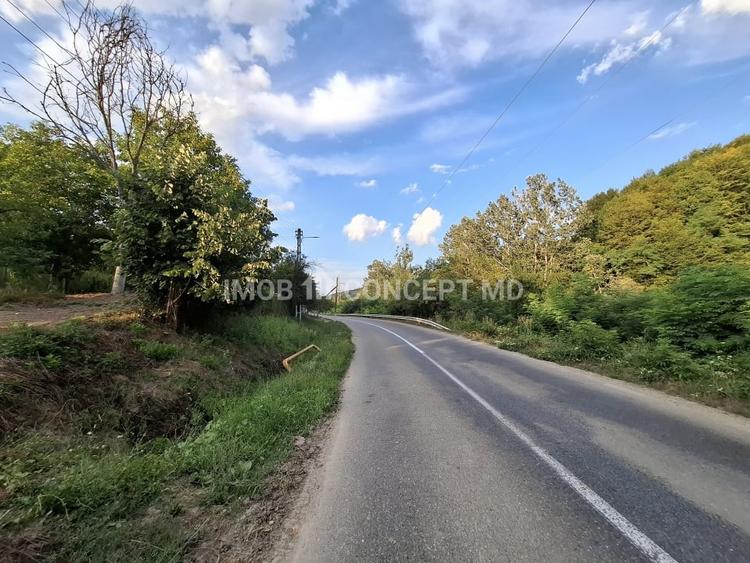 Teren agricol extravilan de 16189 mp, în Șoimari