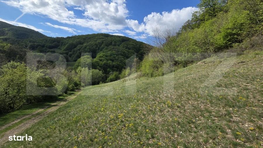 Spațiu comercial, în Pădure