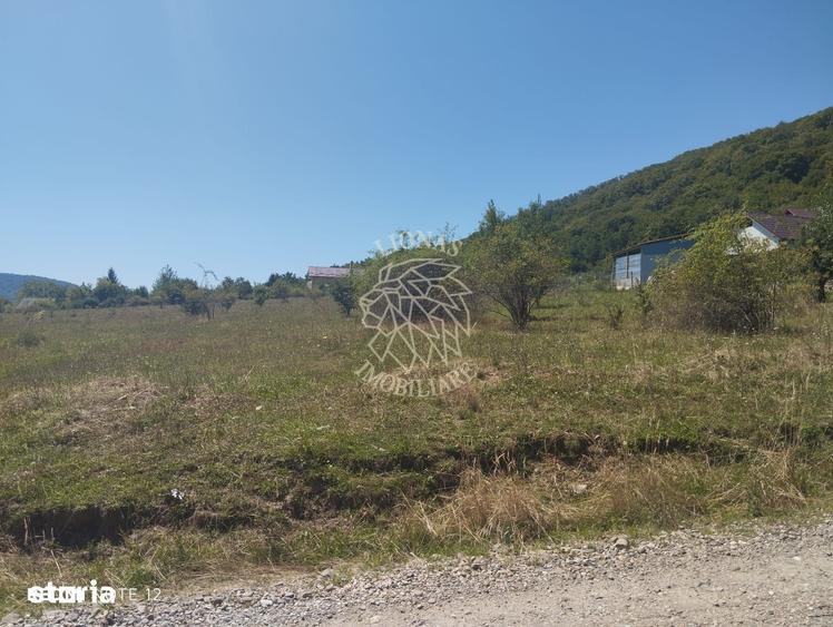Teren intravilan 2900 mp cu utilitati-Zona MOL Viisoara - 1