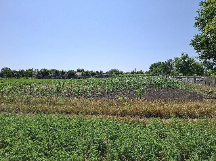 Teren de 1500 mp, în Padina