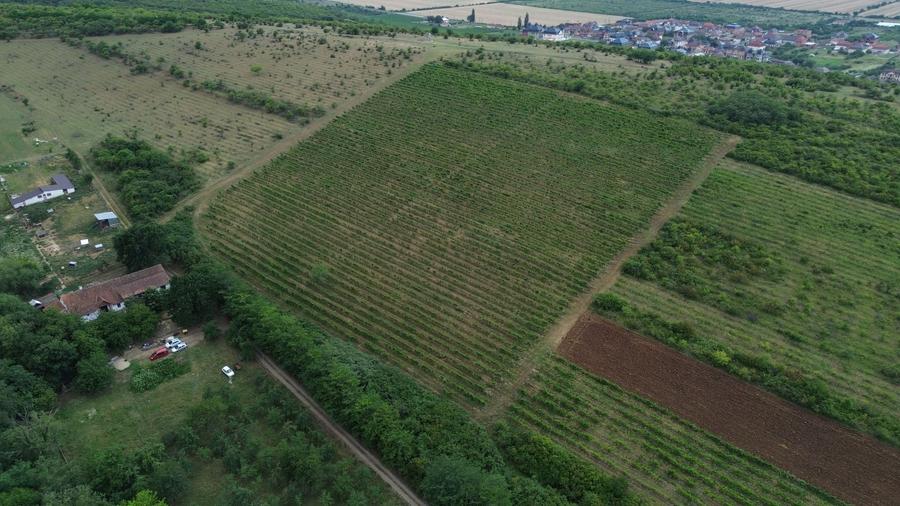 Casă individuală cu 7 camere cu Canalizare în Covăsinț