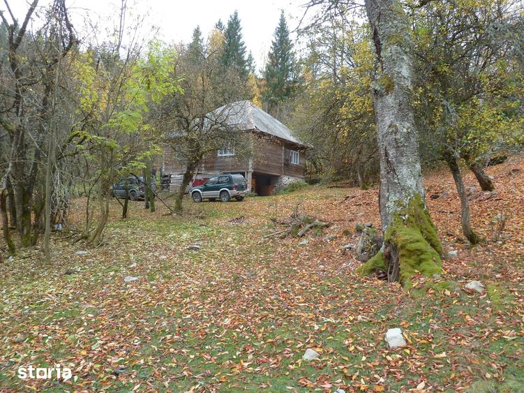 Teren de 44025 mp, în Scărișoara