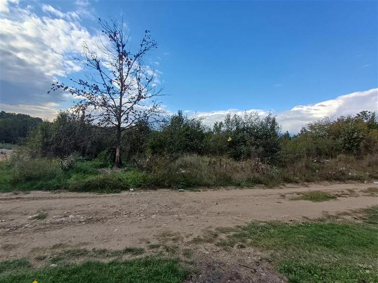 Teren Construcții intravilan de 2819 mp, în Calea Caransebeșului