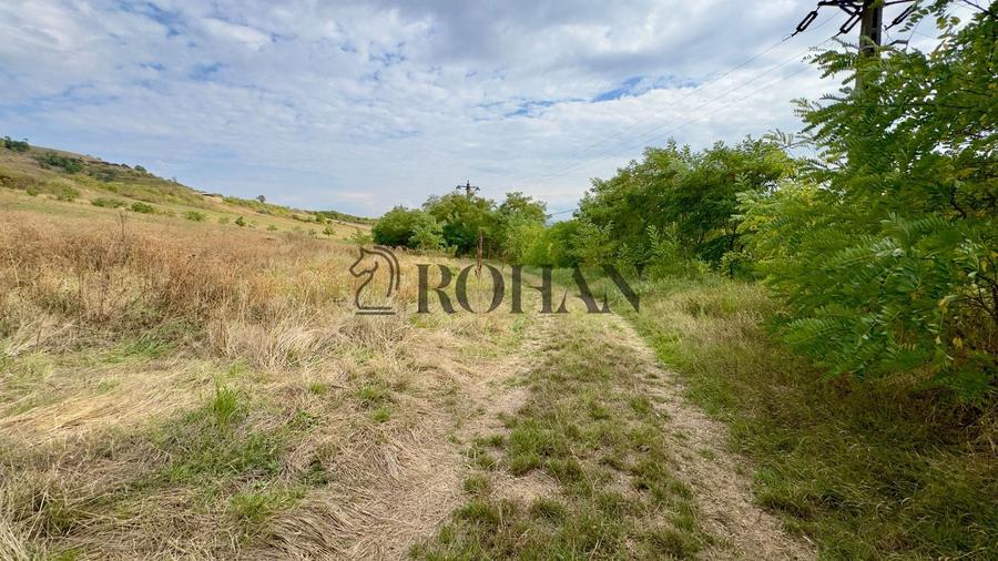 Teren agricol extravilan de 4000 mp, în Cricău