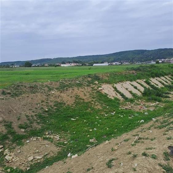 Teren Construcții intravilan de 4200 mp, în Banat