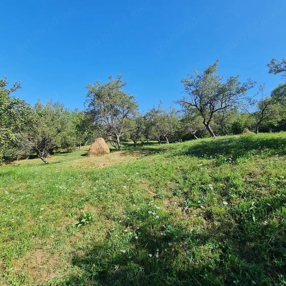 Teren de 7500 mp, în Prosia