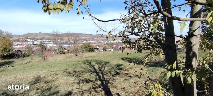 Teren de 3798 mp, în Central