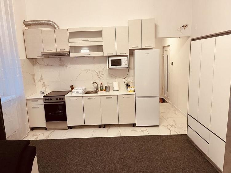 De inchiriat apartament la casa 2 camere ultracentral - 3
