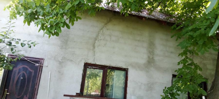Teren de 18000 mp, în Topliceni