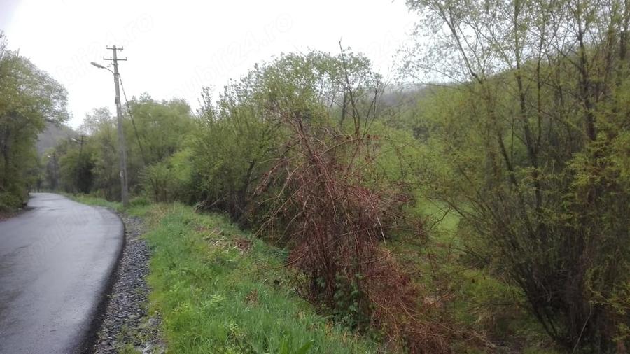 Teren de 2798 mp, în Sârbi