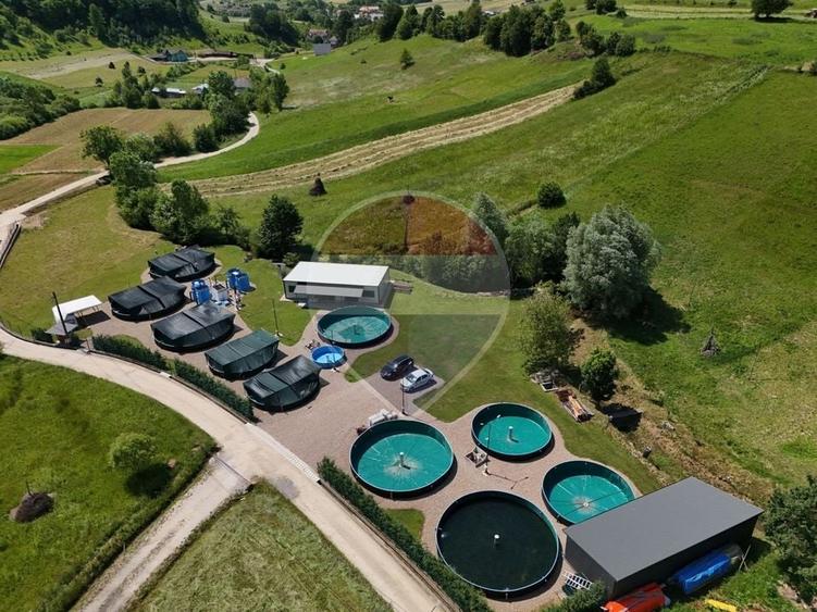 Teren Construcții intravilan de 4577 mp, în Roșia