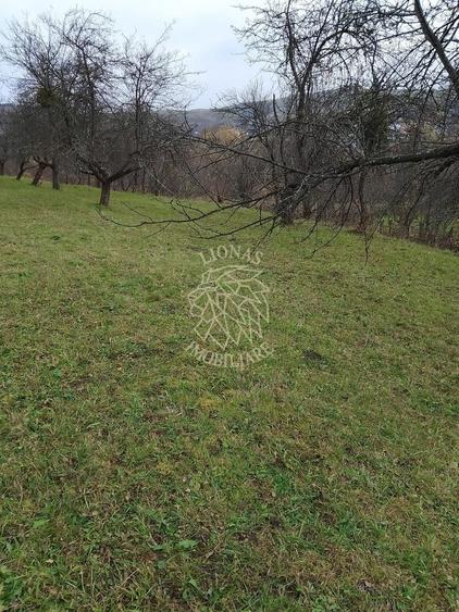 Teren agricol extravilan de 3966 mp, în Budacu de Sus