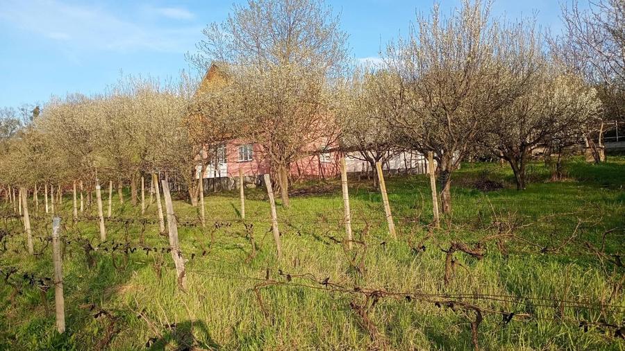 Casă individuală cu 3 camere cu Teren 2000 Mp în Bârnova