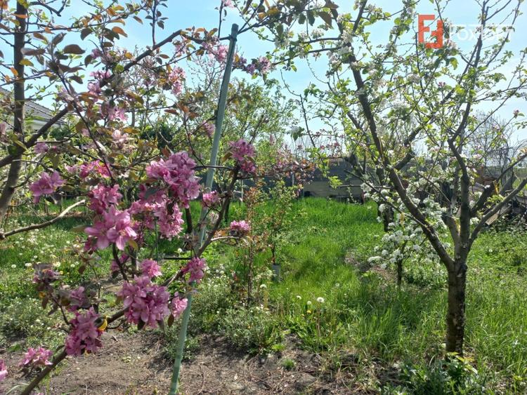 Casă individuală cu 5 camere cu Canalizare în Giarmata-Vii