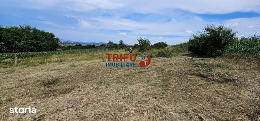 Teren de 500 mp, în Ciugud