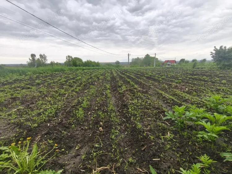 Casă cu 2 camere cu Teren 1600 Mp în Grămești