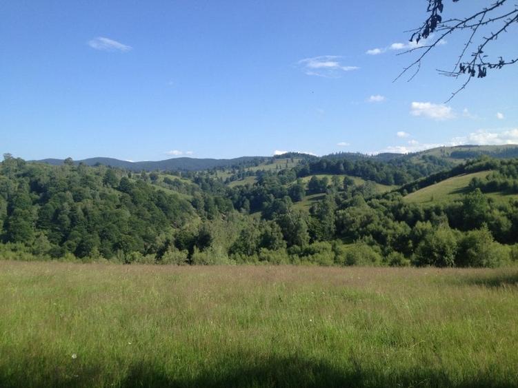 Teren agricol extravilan de 36000 mp, în Tilișca