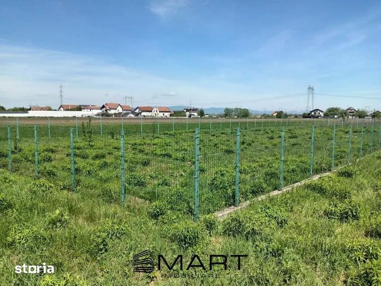Teren Intravilan 837 mp Stupini - 5