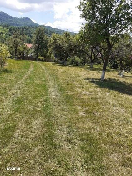 Teren de 1069 mp, în Ibănești