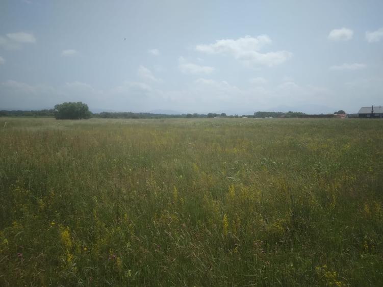 Teren agricol intravilan de 500 mp, în Tărlungeni