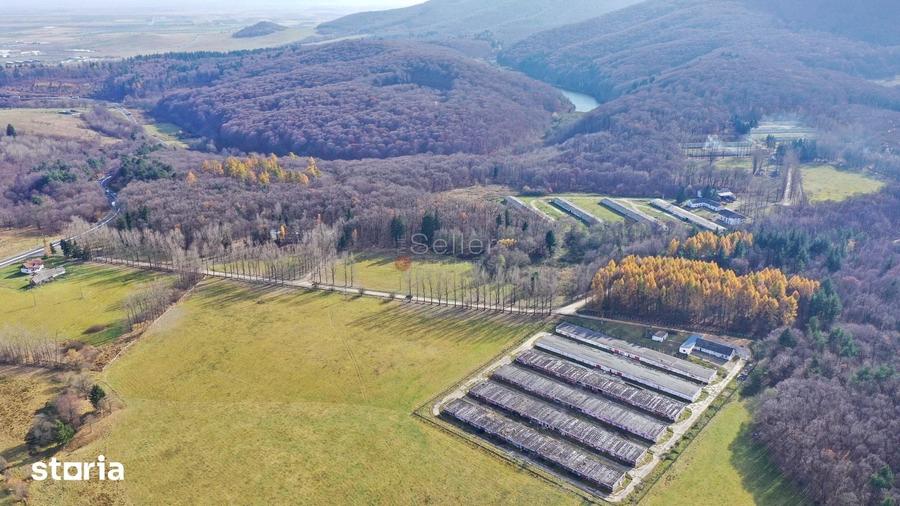 Teren de 186000 mp, în Dumbrăvița