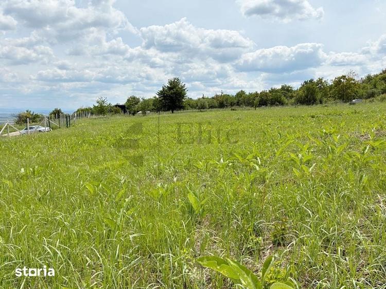 Teren 9461 mp cu panorama in Cartierul Podgoria din Oradea - 4