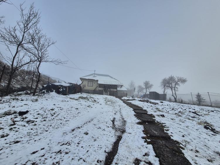 Casă cu 1 camere cu Teren 5135 Mp în Dărmănești