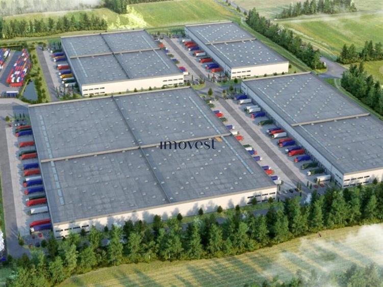 Teren Construcții intravilan de 60000 mp, în 14 Mai