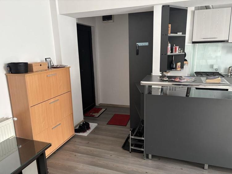 Apartament cu 2 camere în Lotrioara