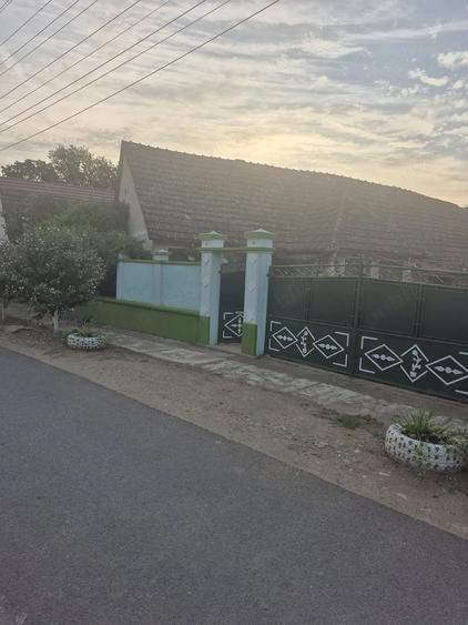 Casă cu 4 camere cu Teren 2440 Mp în Covăsinț