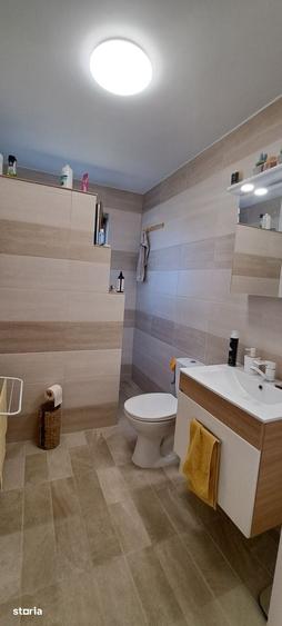 Casă cu 4 camere cu Teren 1233 Mp în Dumbrăvița