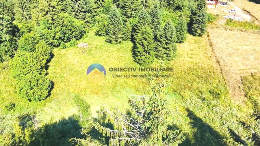Teren intravilan de 14114 mp, în Schitu Tarcău