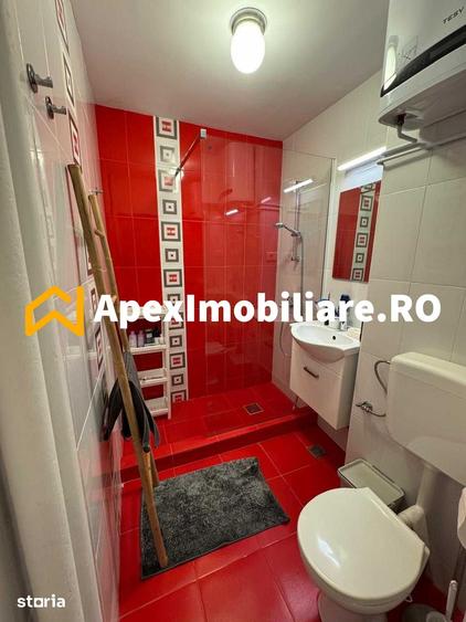 Apartament 2 camere de inchiriat 1 Mai Bucuresti ApexImobiliare.ro - 3