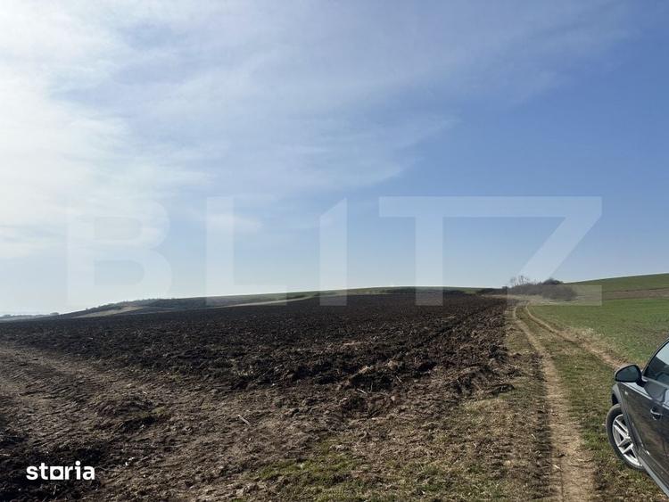 Teren de 15000 mp, în Sântuhalm