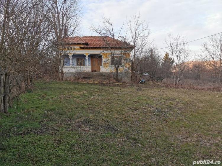 Teren de 6000 mp, în Priboieni