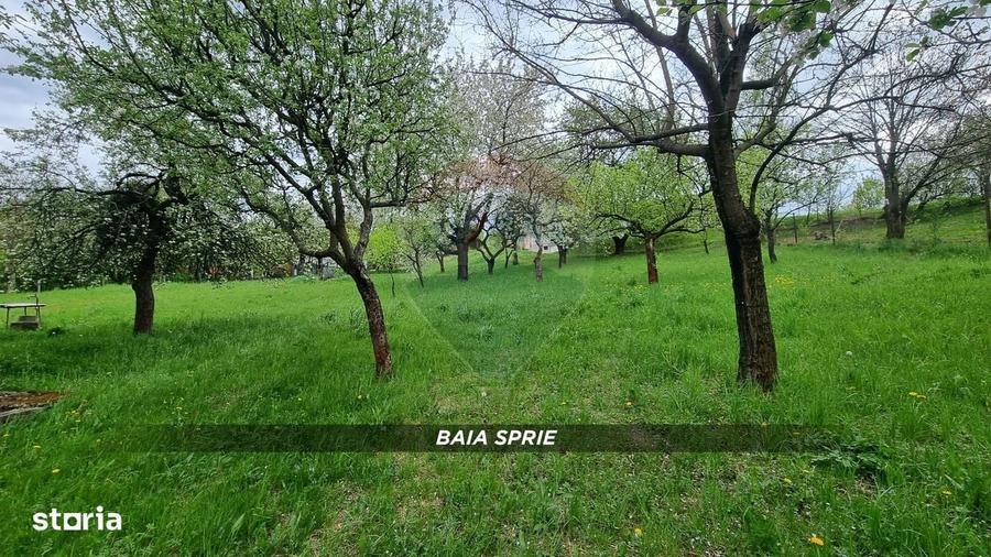 Spațiu comercial, în Central