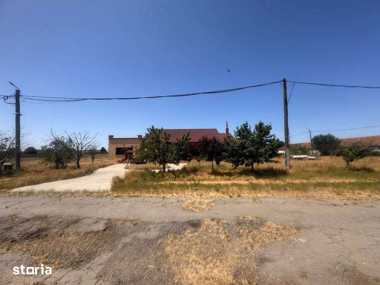 Teren de 90000 mp, în Satchinez