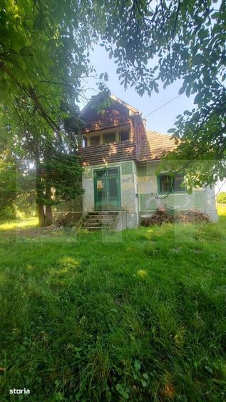 Casa + teren intravil, 3.6 ha I Zagon I Potential turistic si investit - 8