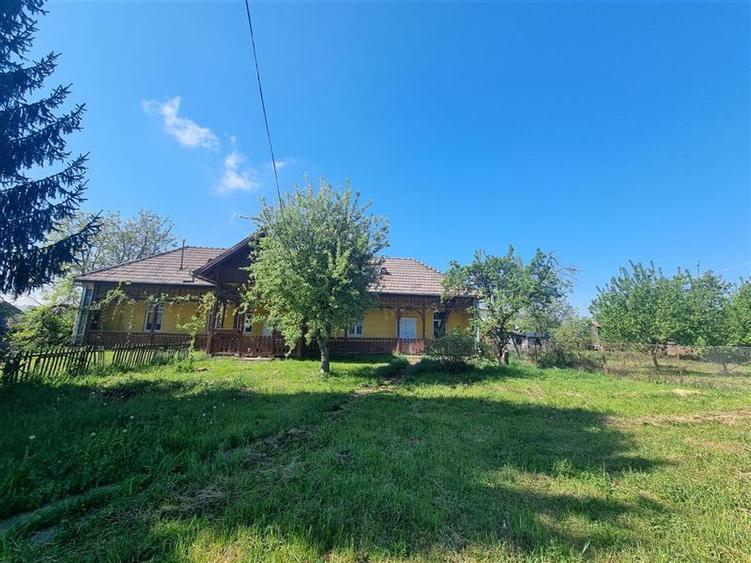 Teren intravilan de vanzare 14900 mp, 43m deschidere  Mureseni, Mures - 3