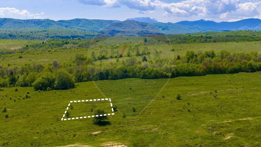 Teren Construcții intravilan de 500 mp, în Dumbrăvița