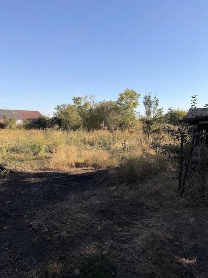 Casă cu 4 camere cu Teren 3000 Mp în Rast