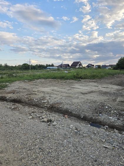Teren de 1712 mp, în Moșoaia