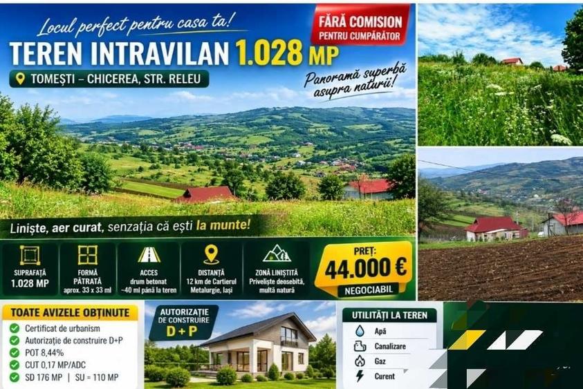Spațiu comercial, în Chicerea