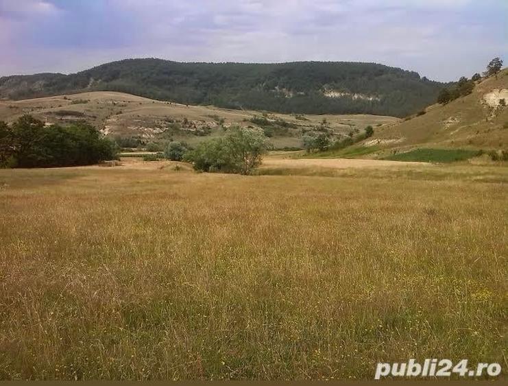 Teren de 5000 mp, în Racâș