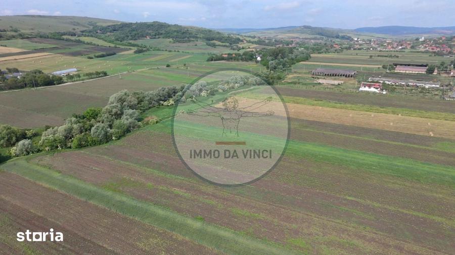 Teren de 10670 mp, în Borșa