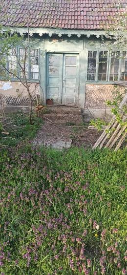 Casă cu 3 camere în Sfodea