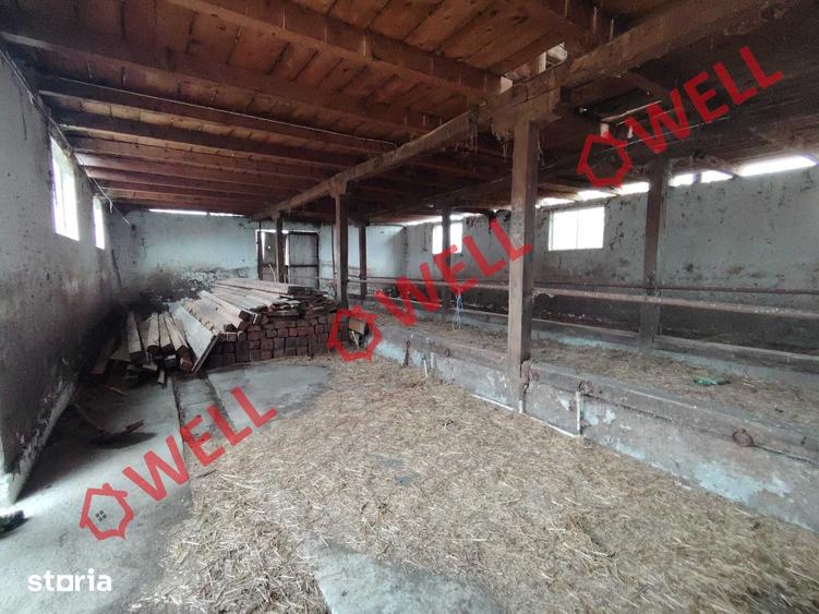 Teren de 1985 mp, în Valea Crișului