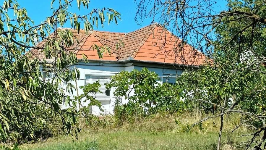 Casă cu 2 camere cu Teren 1500 Mp în Sânpetru de Câmpie